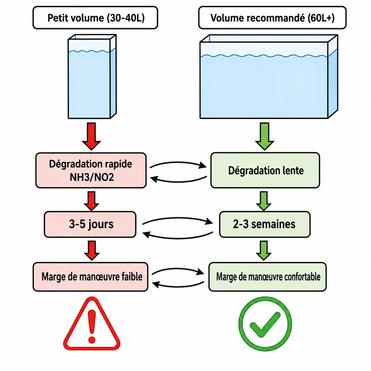 Comparaison schématique : petit bac 30L avec dégradation rapide vs bac 60L avec stabilité accrue.